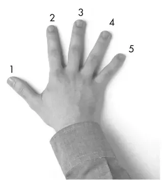 All About Piano — figure from page 28